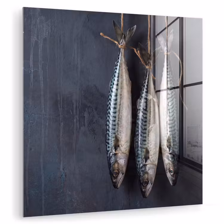 Glas schilderij - Drie vissen - Touw - Drie vissen - Touw plexiglas 5mm klein