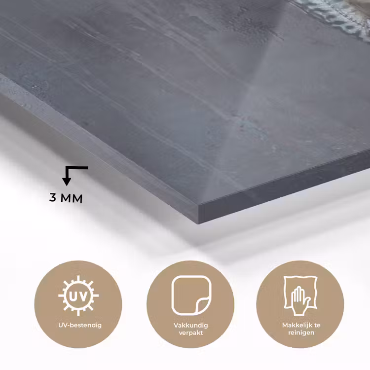 Glas schilderij - Drie vissen - Touw - Drie vissen - Touw plexiglas 5mm klein