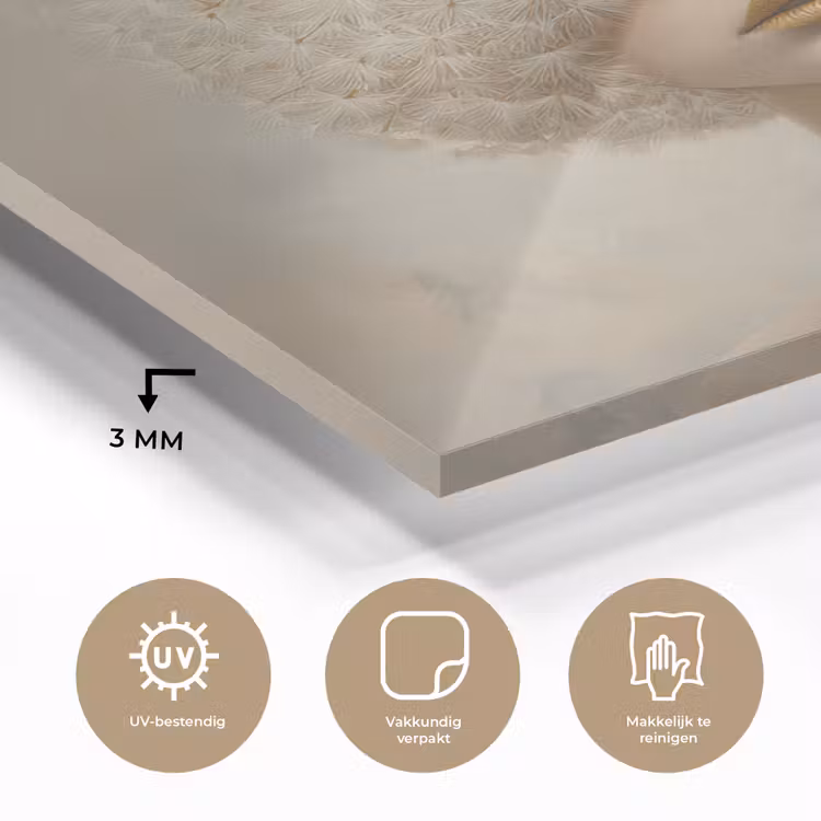 Dromerig - Beige - Paardenbloemzaadjes plexiglas 5mm klein -sfeer2