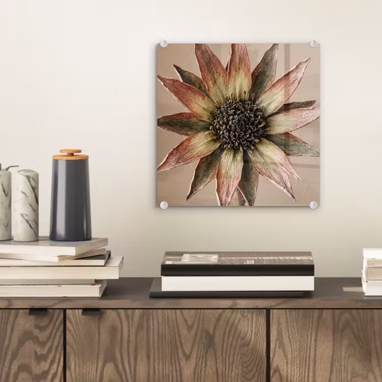 Droogbloem - Protea - Vintage - Beige - Rustiek plexiglas 5mm klein -sfeer1