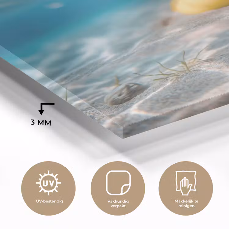 Duikbril - Eend - Water plexiglas 5mm klein -sfeer2