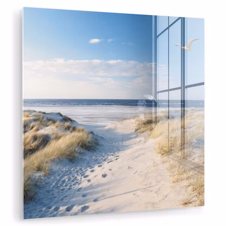 Duin - Meeuw - Strand - Zee - Zon plexiglas 5mm klein -zzzproduct_nieuw