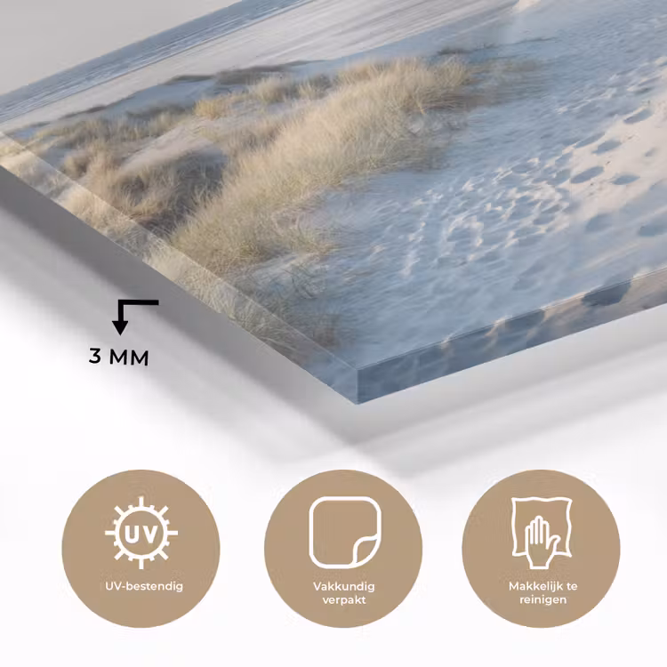 Duin - Meeuw - Strand - Zee - Zon plexiglas 5mm klein -sfeer2