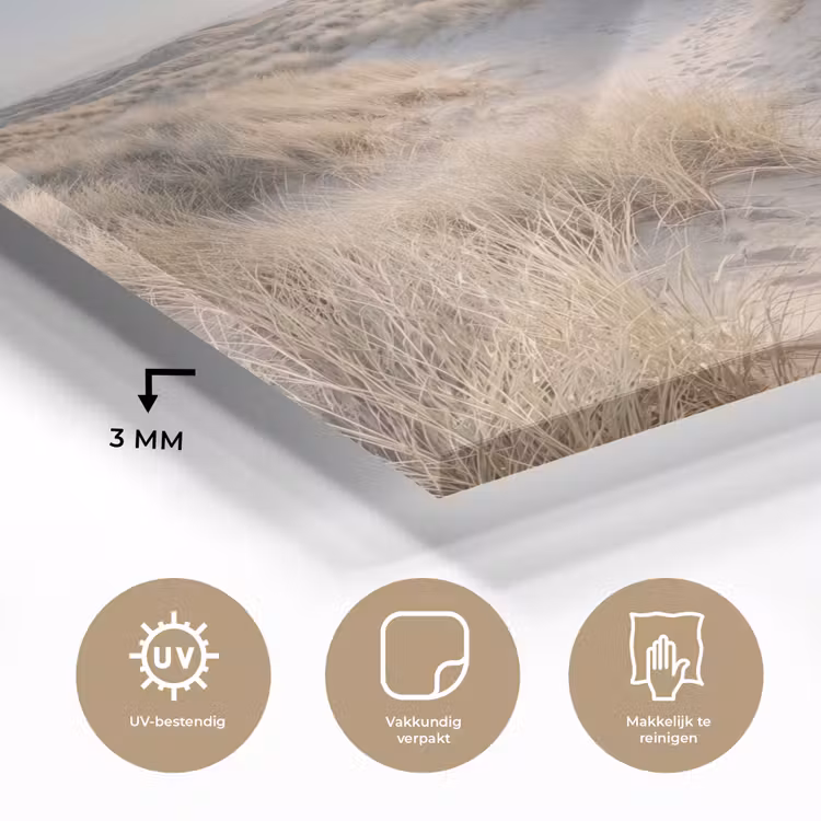 Duinen - Strand - Beige plexiglas 5mm klein -sfeer2
