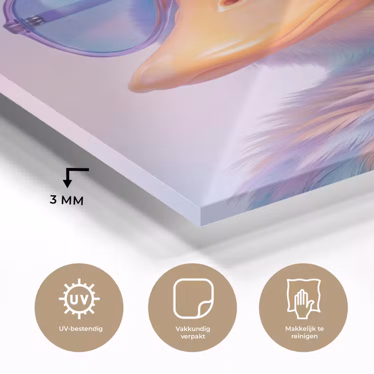 Eend - bril - Pastel plexiglas 5mm klein -sfeer2