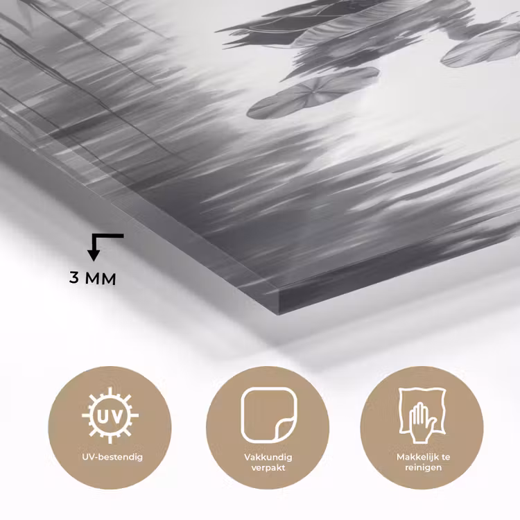 Eenden - Waterlelies - Riet - Zwart plexiglas 5mm klein -sfeer2