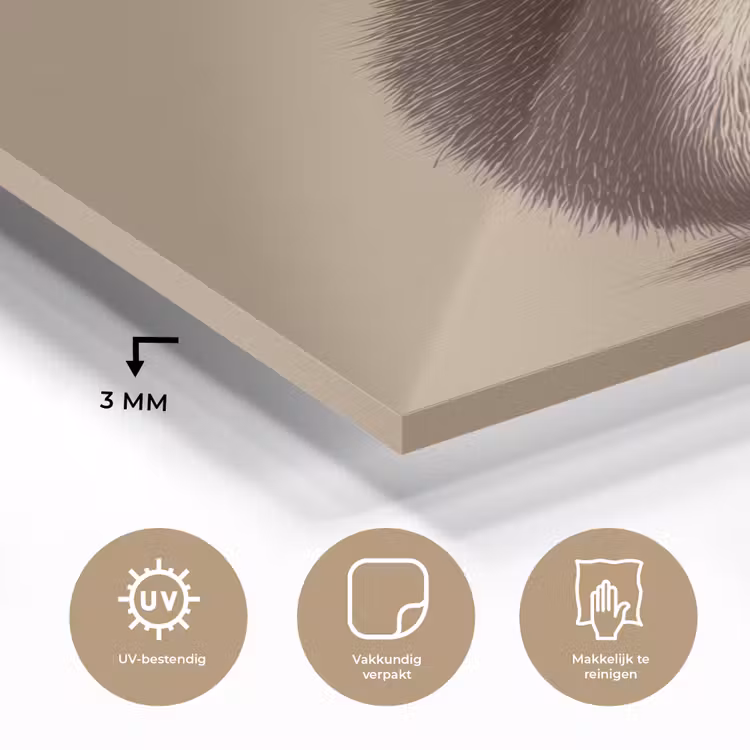 Egel - Snuitje - Bruin - Stekels plexiglas 5mm klein -sfeer2