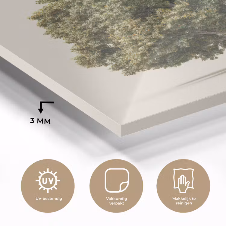 Eikenboom - Groen - Lichte achtergrond plexiglas 5mm klein -sfeer2