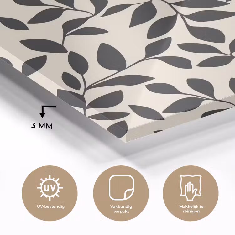 Elegant - Patroon - Zwart - Beige plexiglas 5mm klein 11 -sfeer2