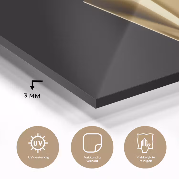 Friet - Goud - Chrome - Eten plexiglas 5mm klein -sfeer2