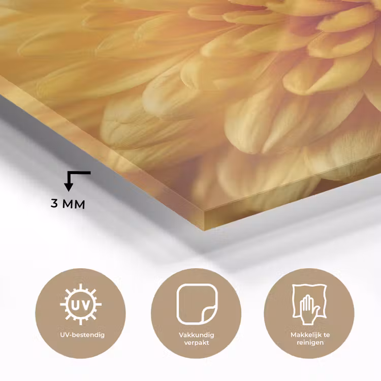 Geel - Chrysant - Zachtheid plexiglas 5mm klein -sfeer2