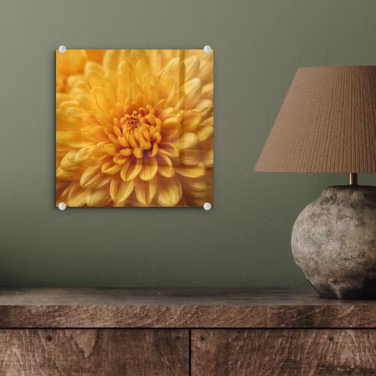 Geel - Chrysant - Zachtheid plexiglas 5mm klein -sfeer3