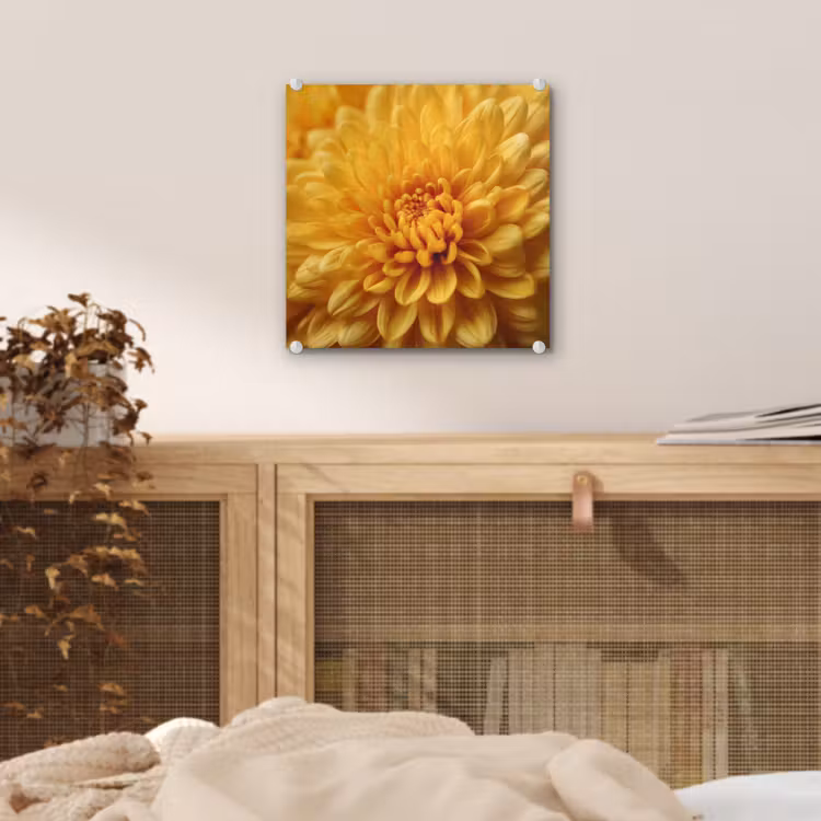 Geel - Chrysant - Zachtheid plexiglas 5mm klein -sfeer4