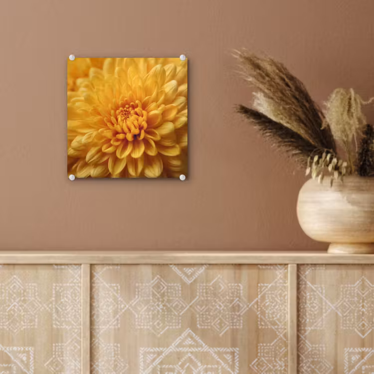 Geel - Chrysant - Zachtheid plexiglas 5mm klein -sfeer5