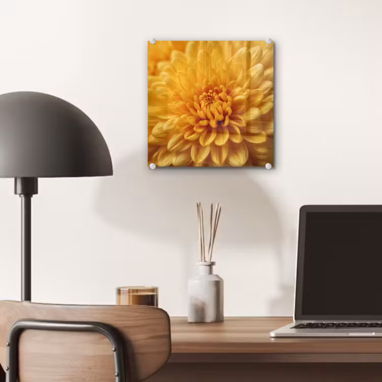 Geel - Chrysant - Zachtheid plexiglas 5mm klein -sfeer6