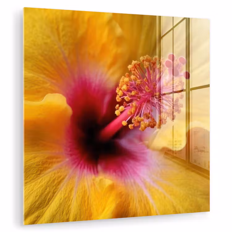 Geel - Hibiscus - Tropisch plexiglas 5mm klein -zzzproduct_nieuw