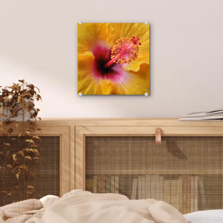 Geel - Hibiscus - Tropisch plexiglas 5mm klein -sfeer4