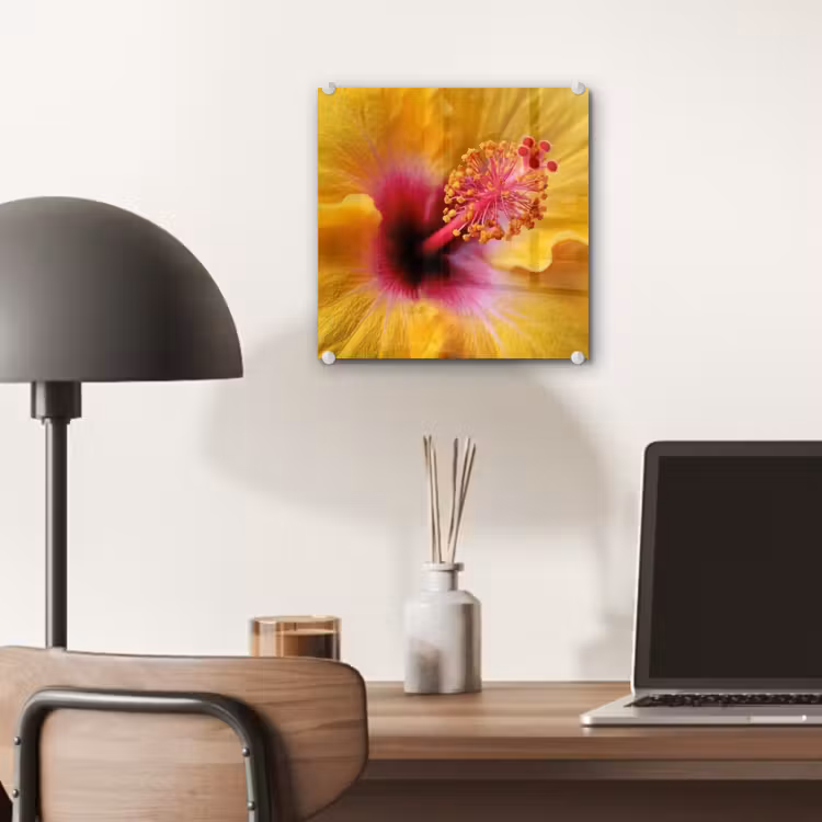 Geel - Hibiscus - Tropisch plexiglas 5mm klein -sfeer6