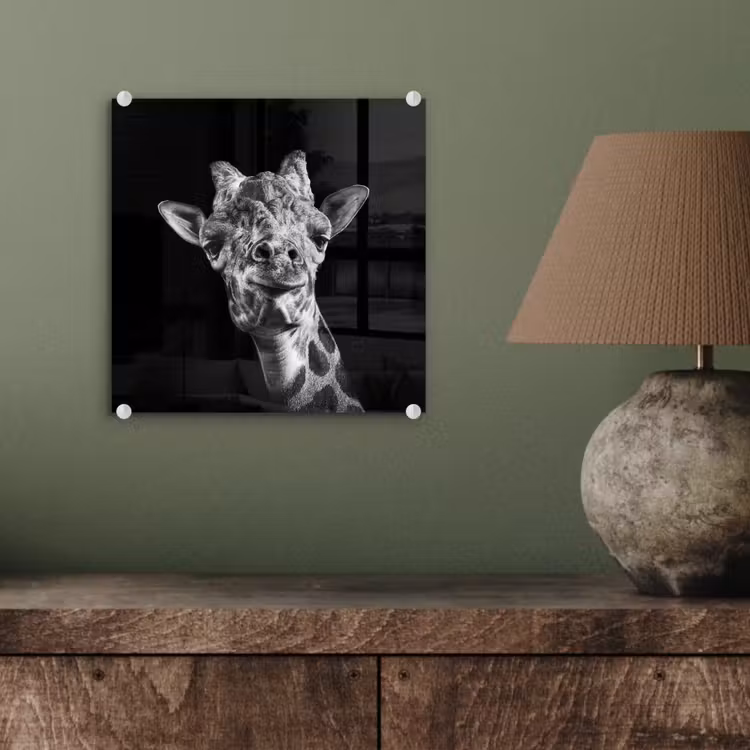 Giraffe - Dier - Zwart - Wit plexiglas 5mm klein -sfeer3