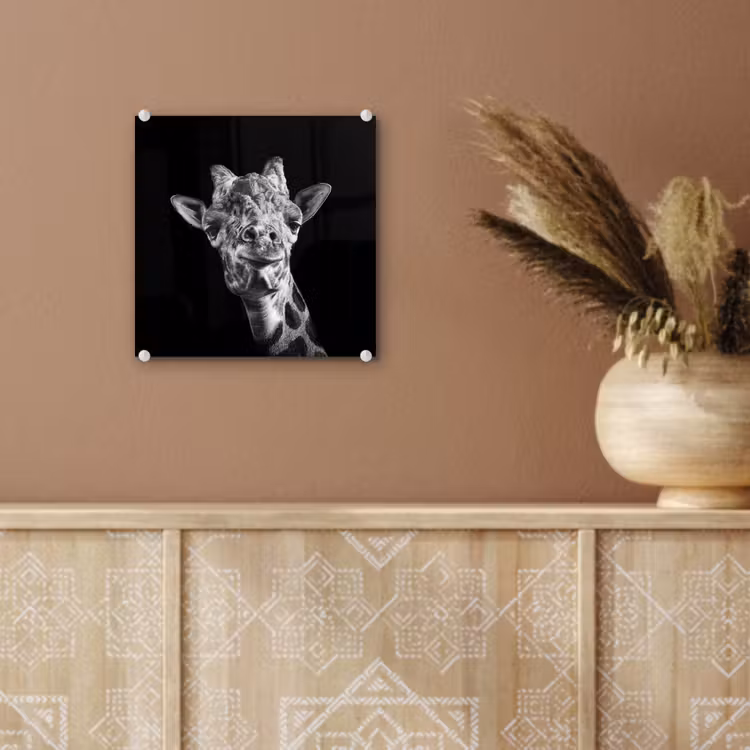 Giraffe - Dier - Zwart - Wit plexiglas 5mm klein -sfeer5