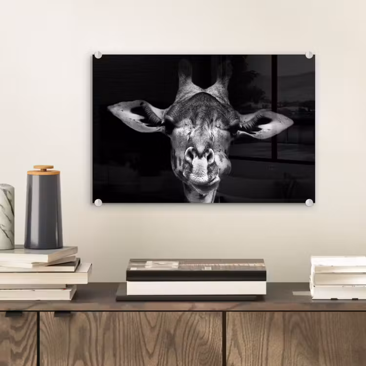 Giraffe - Portret - Dieren - Zwart - Wit plexiglas 5mm klein -sfeer1