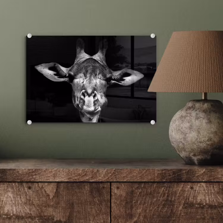 Giraffe - Portret - Dieren - Zwart - Wit plexiglas 5mm klein -sfeer3
