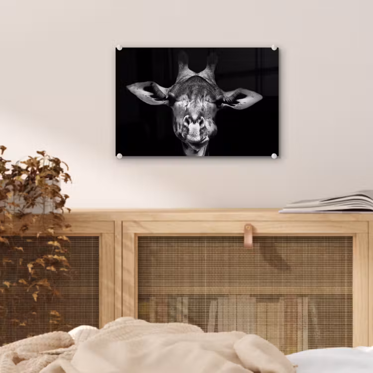 Giraffe - Portret - Dieren - Zwart - Wit plexiglas 5mm klein -sfeer4