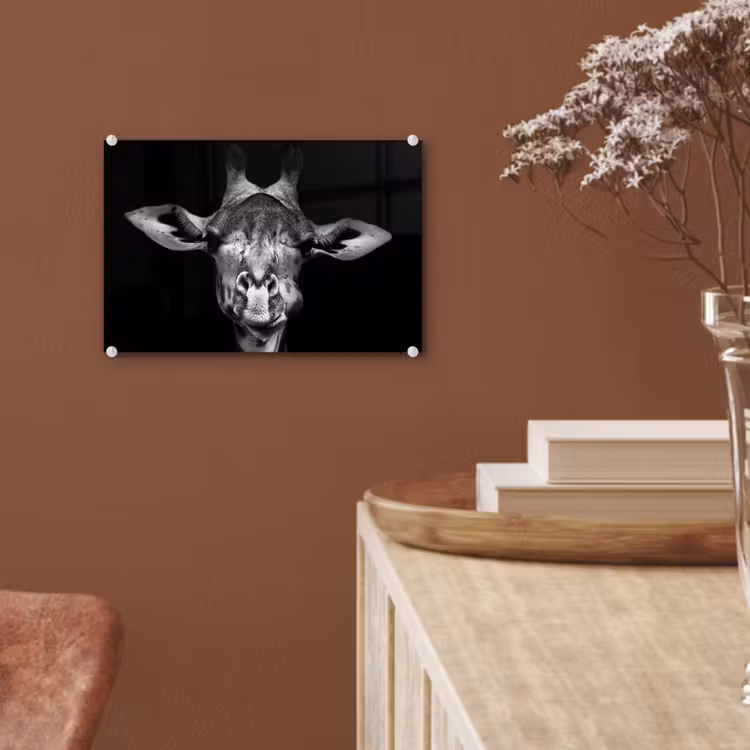 Giraffe - Portret - Dieren - Zwart - Wit plexiglas 5mm klein -sfeer5