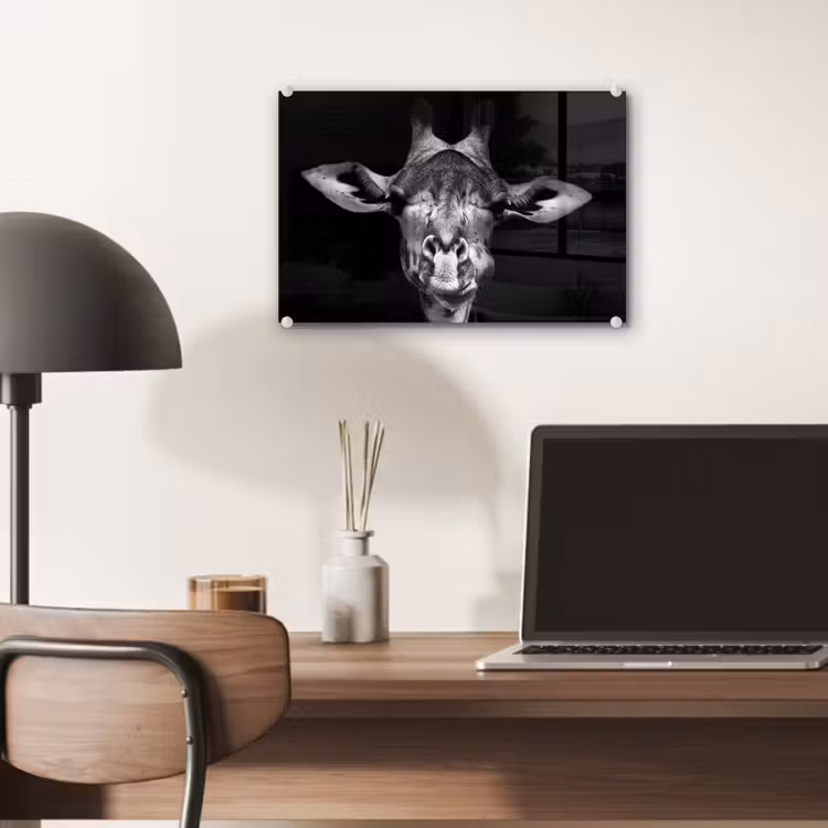 Giraffe - Portret - Dieren - Zwart - Wit plexiglas 5mm klein -sfeer6