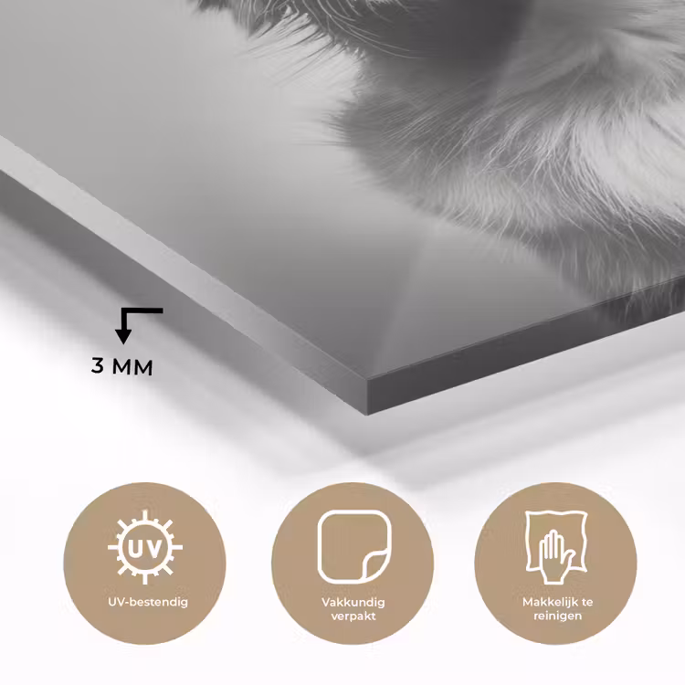 Golden retriever - Hond - Zonnebril - Gkas plexiglas 5mm klein -sfeer2