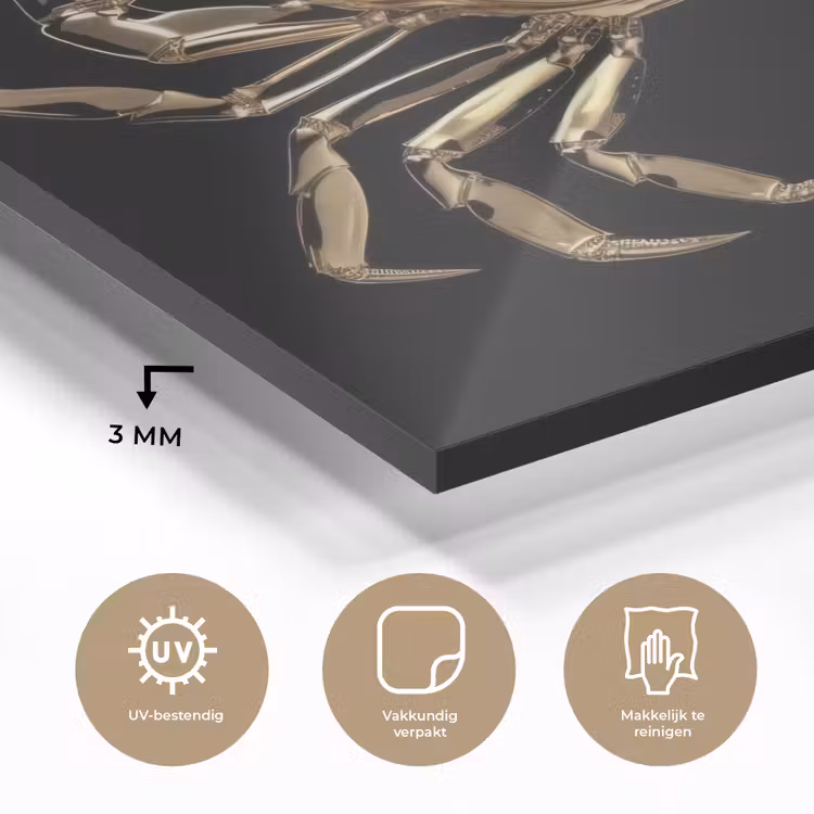 Goud - Krab - Dieren - Zwart plexiglas 5mm klein -sfeer2