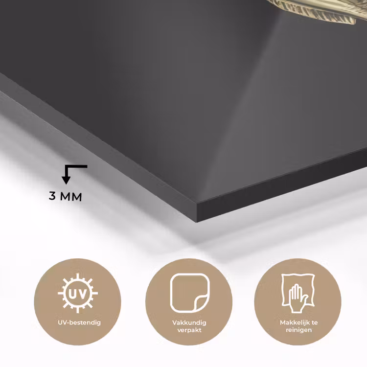 Goud - Vis - Haak - Zwart plexiglas 5mm klein -sfeer2