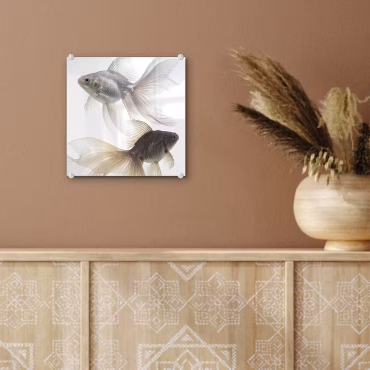 Goudvissen - Modern - Wit plexiglas 5mm klein -sfeer5