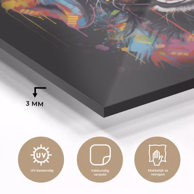 Graffiti - Hond - Zwart - Kleuren plexiglas 5mm klein -sfeer2