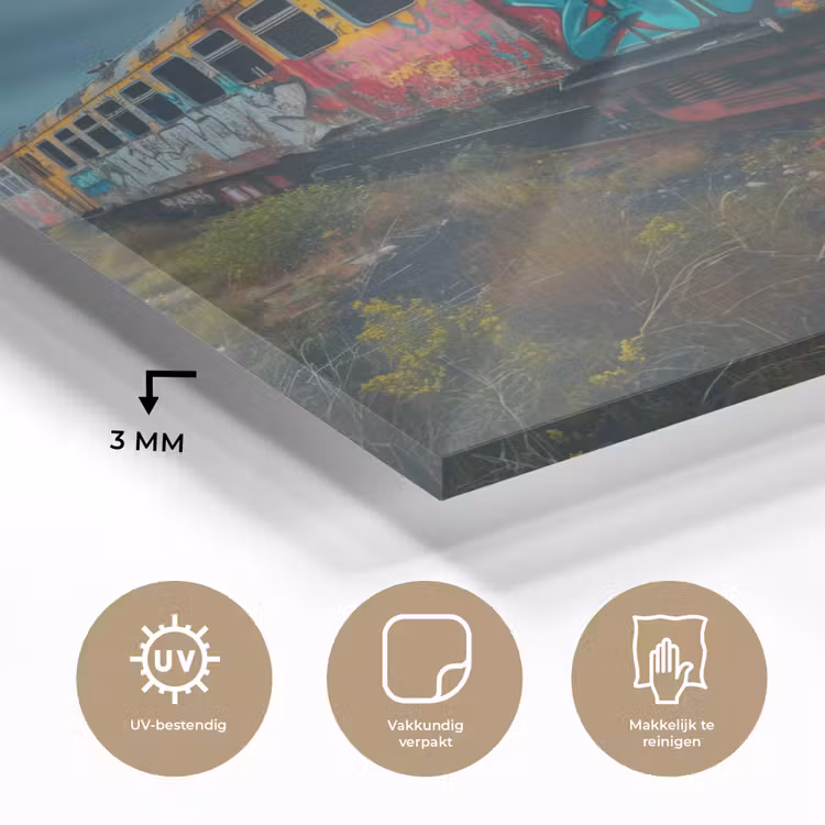 Graffiti - Trein - Street art - Verlaten plexiglas 5mm klein -sfeer2