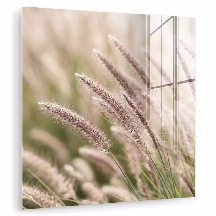 Gras - Close up - Groen plexiglas 5mm klein -zzzproduct_nieuw