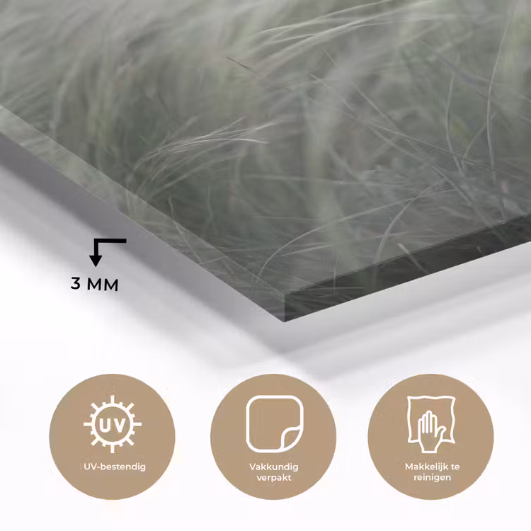 Gras - Wazig - Natuur - Groen - Zacht plexiglas 5mm klein -sfeer2