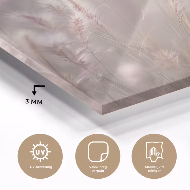 Graspluimen - Wind - Beige - Mistig plexiglas 5mm klein -sfeer2