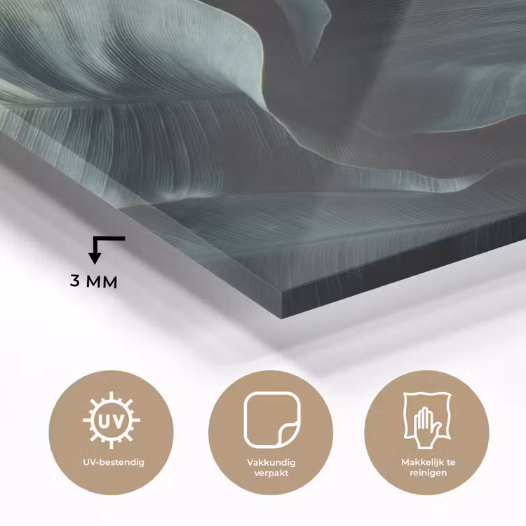 Groen - Bladeren - Glad - Nerven plexiglas 5mm klein -sfeer2