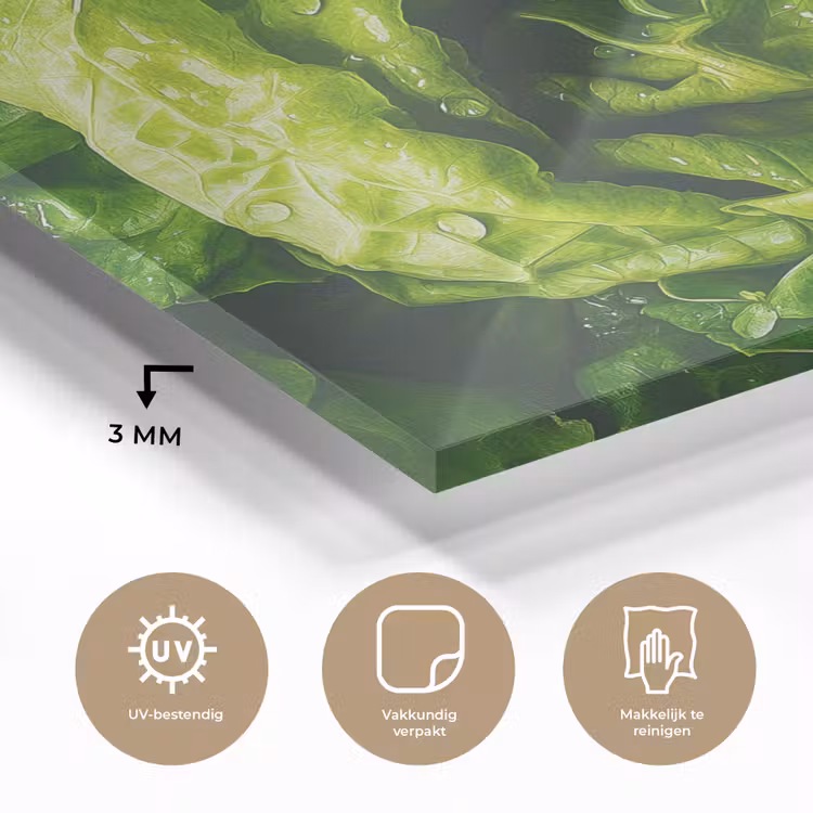 Groente - Sla - Groen plexiglas 5mm klein -sfeer2