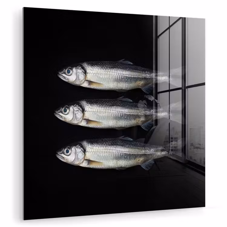 Haring - Vissen - Zwart plexiglas 5mm klein -zzzproduct_nieuw