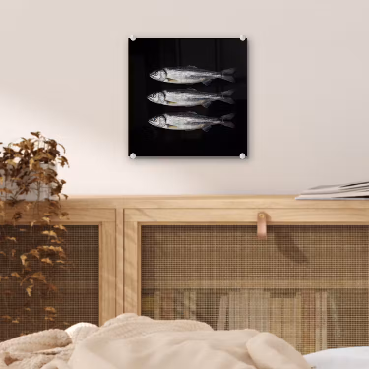 Haring - Vissen - Zwart plexiglas 5mm klein -sfeer4
