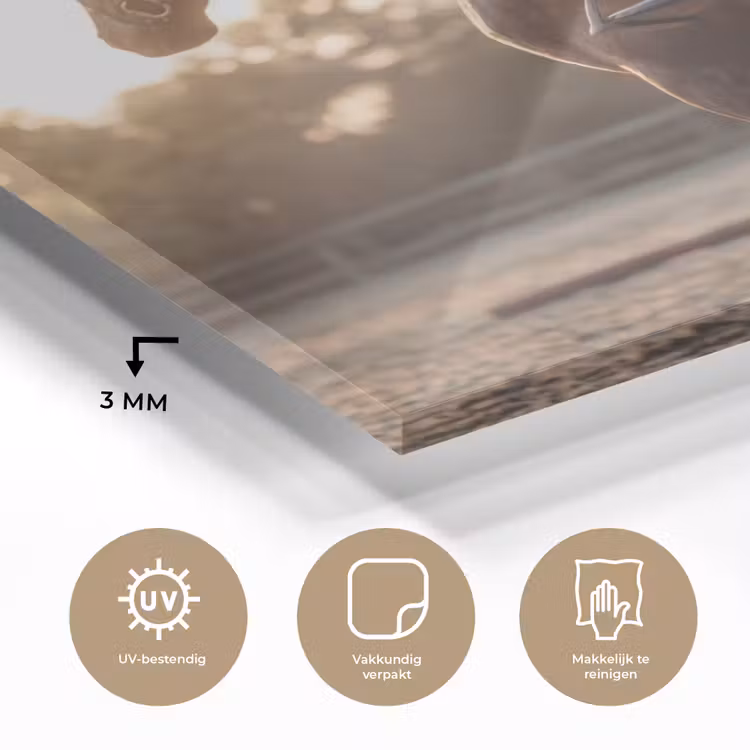 Harmonie - Ruiter - Zon plexiglas 5mm klein -sfeer2