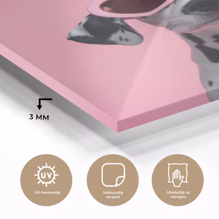 Hartjes - Hond - Valentijn - Roze plexiglas 5mm klein -sfeer2
