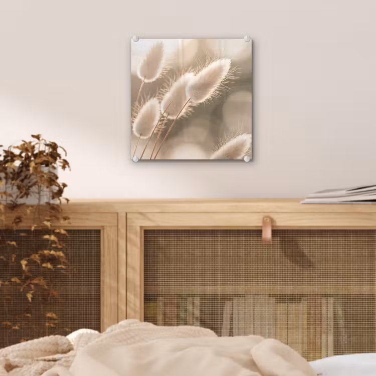 Hazestaartgras - Wit - Zonlicht plexiglas 5mm klein -sfeer4