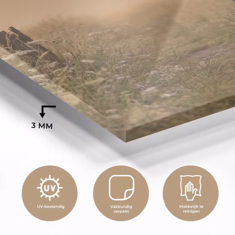 Hek - Natuur - Mist - Veld plexiglas 5mm klein -sfeer2