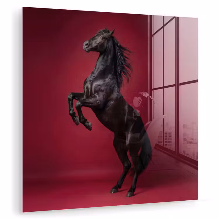 Hengst - Steigert - Rood plexiglas 5mm klein -zzzproduct_nieuw