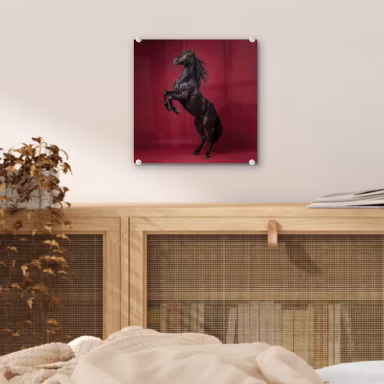 Hengst - Steigert - Rood plexiglas 5mm klein -sfeer4