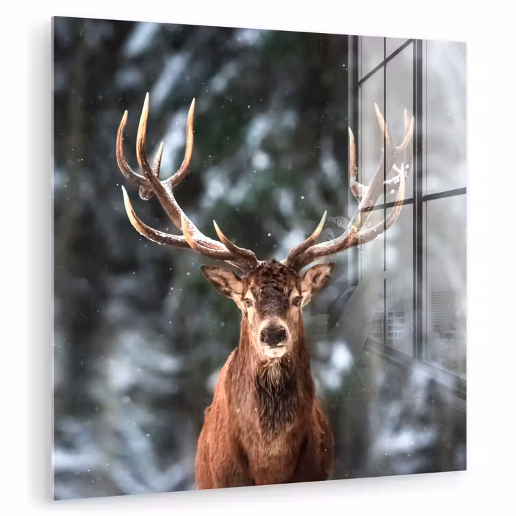 Hert - Winter - Sneeuw - Bos - Natuur - Dier plexiglas 5mm klein -zzzproduct_nieuw
