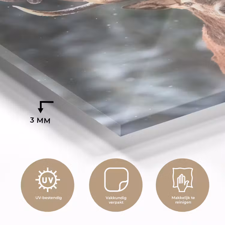 Hert - Winter - Sneeuw - Bos - Natuur - Dier plexiglas 5mm klein -sfeer2